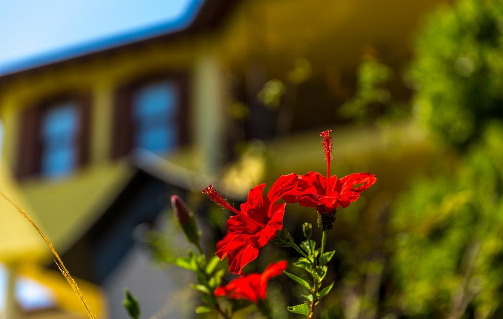 Marmaris Holiday Villas Exterior foto